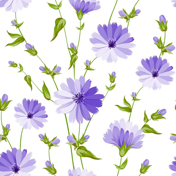 Patrón de flor transparente de flor silvestre ilustración vectorial
