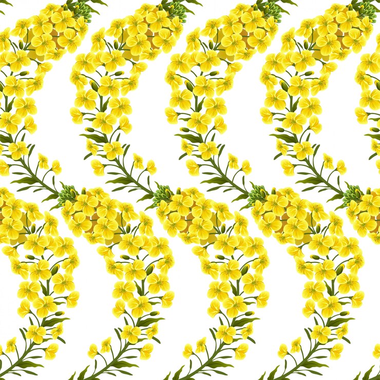 Vector gratuito patrón de flores de violación, canola. brassica napus.