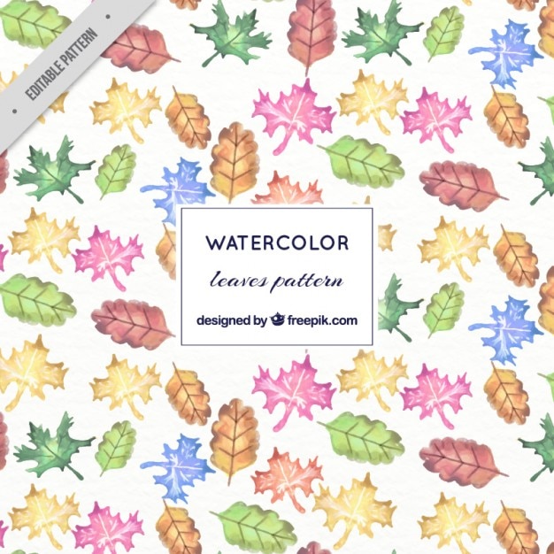 Vector gratuito patrón de hojas de colores