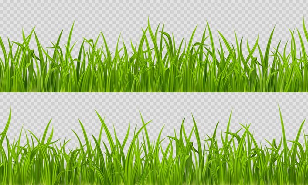 Patrón horizontal de césped realista de hierba transparente