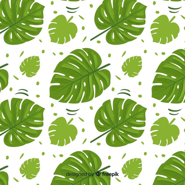 patrón monstera