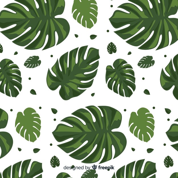 patrón monstera