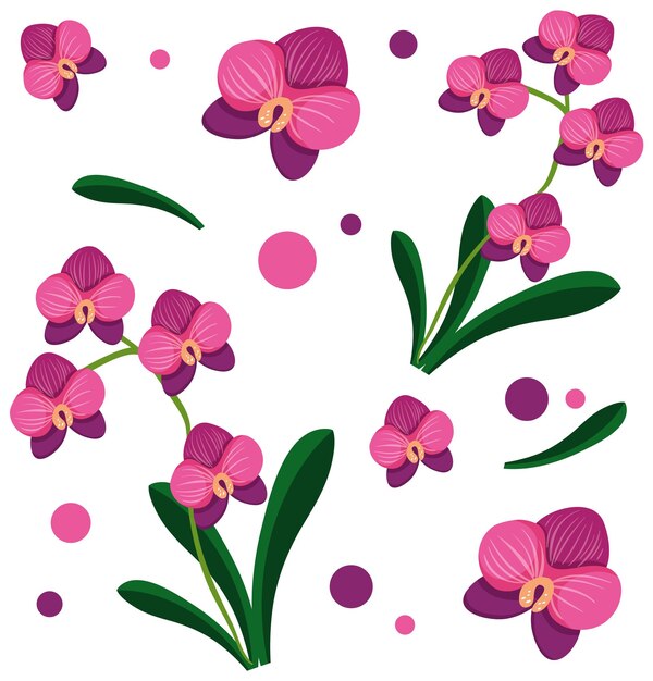 Patrón de orquídea rosada sin costuras