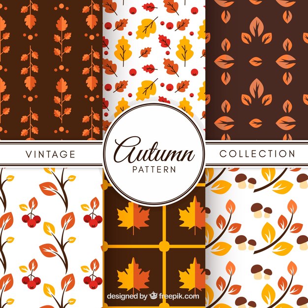 Patrón de otoño con hojas