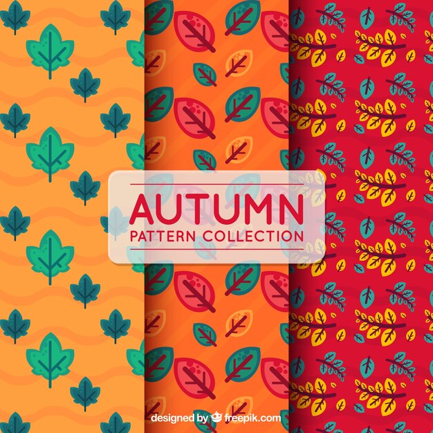 Patrón de otoño multicolor