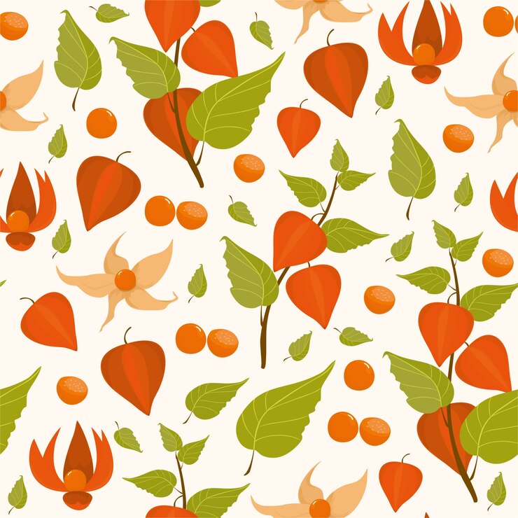 Vector gratuito patrón physalis