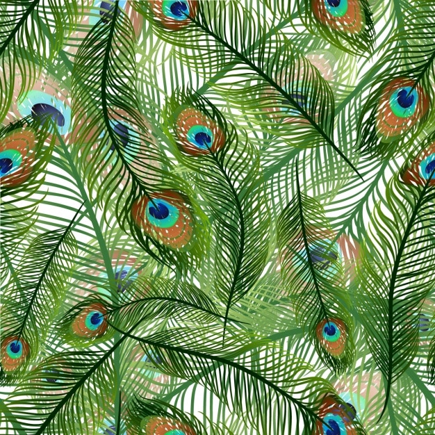 Patrón de plumas de pavo real