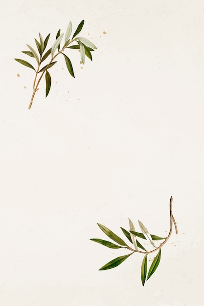 Patrón de rama de olivo en un vector de plantilla de fondo beige