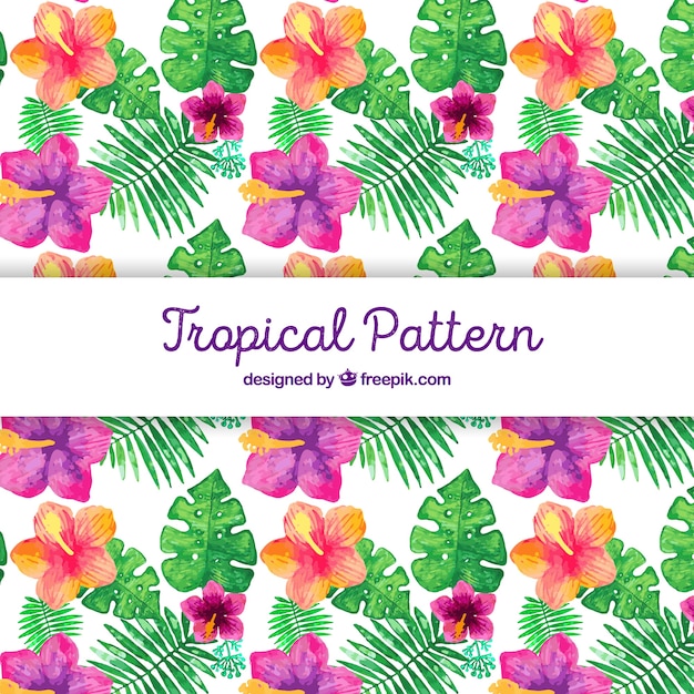 Vector gratuito patrón tropical con flores de acuarela