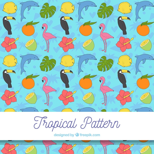 Patrón tropical con pájaros y frutas