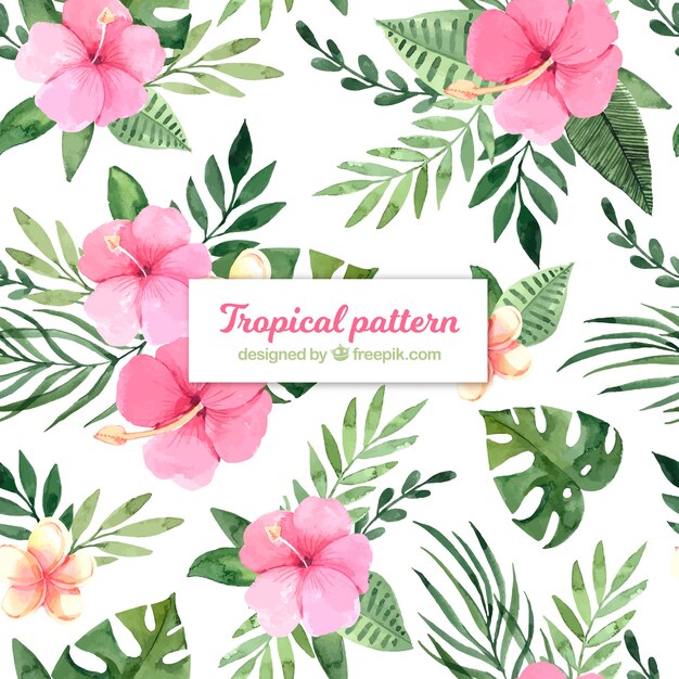 Patrón tropical de verano con flores de acuarela