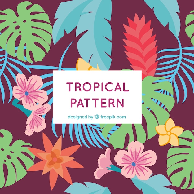Patrón tropical de verano con plantas diferentes