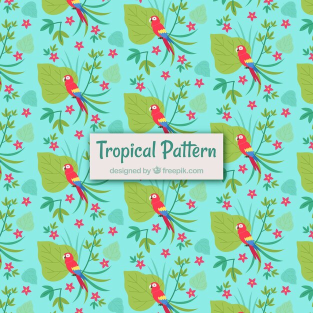 Patrón tropical de verano con plantas y pájaros