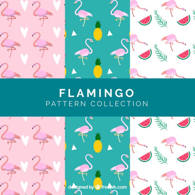 Patrón veraniego de flamenco 