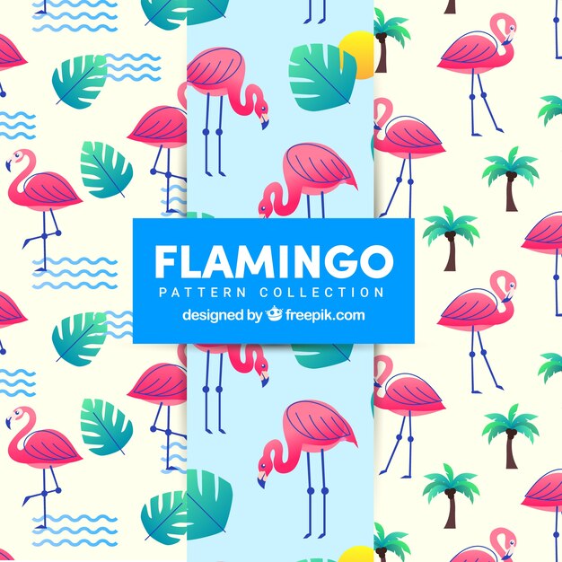 Patrón veraniego de flamenco 