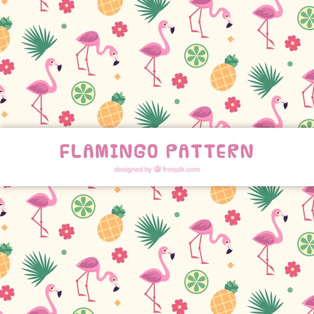El patrón de verano del flamenco