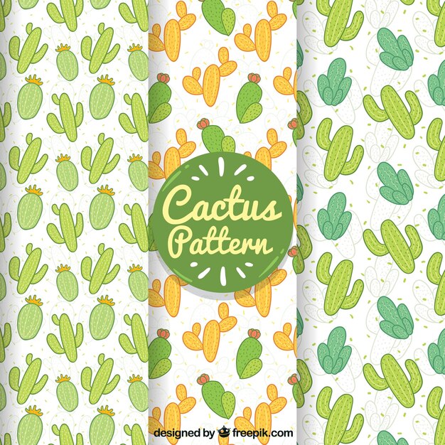 Patrones adorables de cactus con estilo a mano