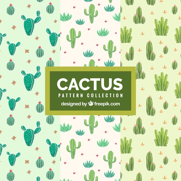Patrones bonitos de cactus dibujados a mano 