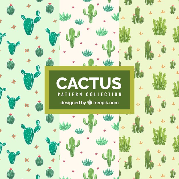 Patrones bonitos de cactus dibujados a mano