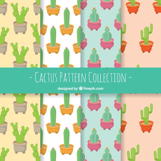 Patrones de cactus con estilo bonito
