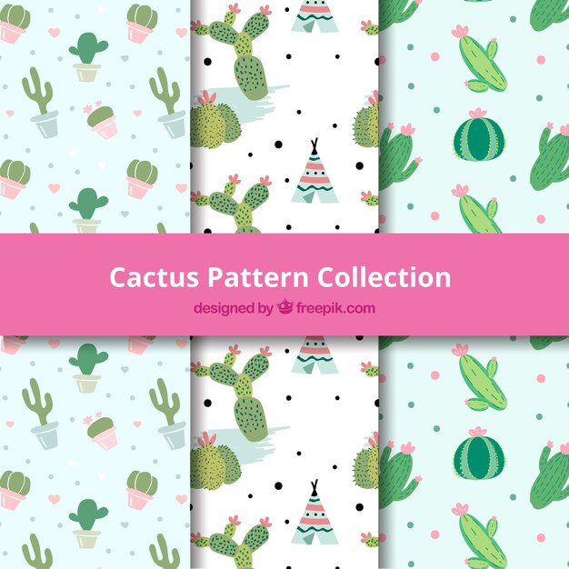 Patrones de cactus con estilo de dibujo a mano
