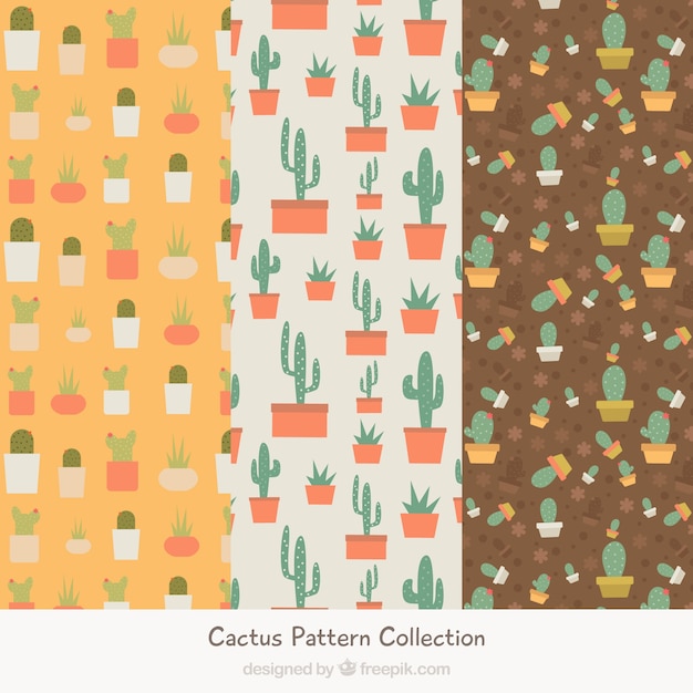 Patrones de cactus con un estilo encantador