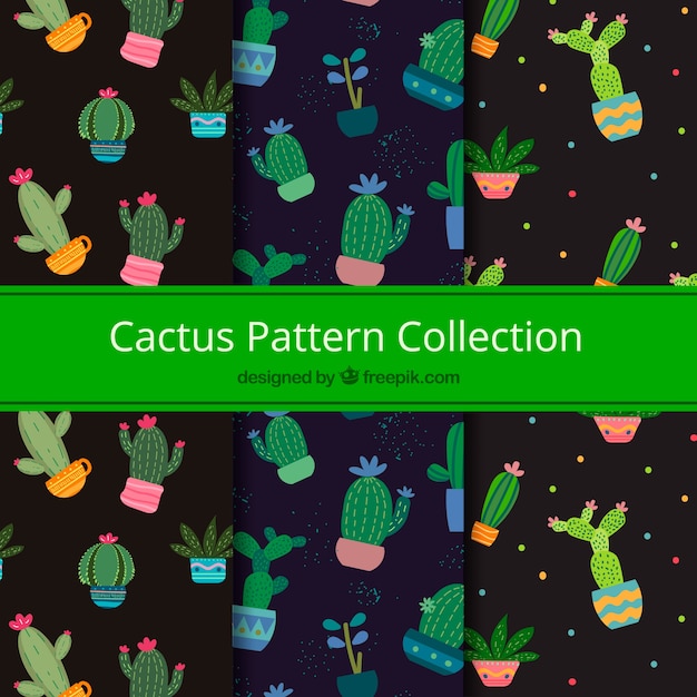 Vector gratuito patrones de cactus con estilo moderno