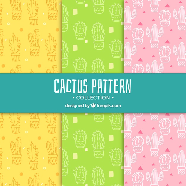 Patrones coloridos de cactus con estilo divertido
