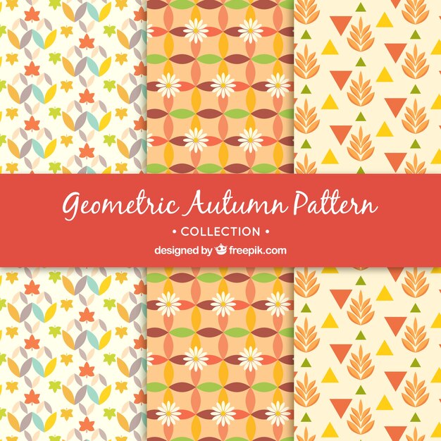 Patrones geométricos de otoño