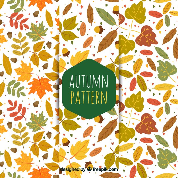 Patrones con hojas para otoño