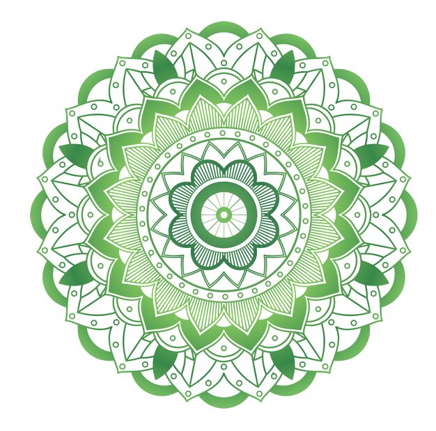 Patrones de mandala en aislados