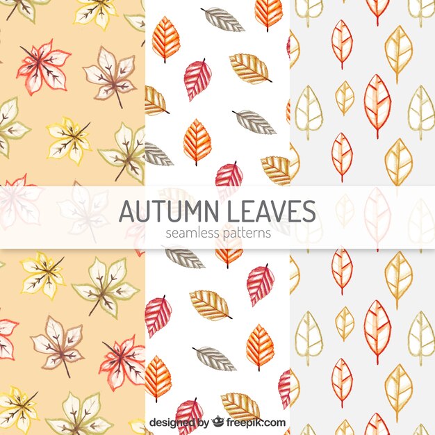 Patrones de otoño en acuarela con hojas y flores