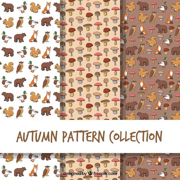 Vector gratuito patrones de otoño con animales y setas