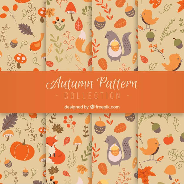 Patrones para otoño con flores y animales