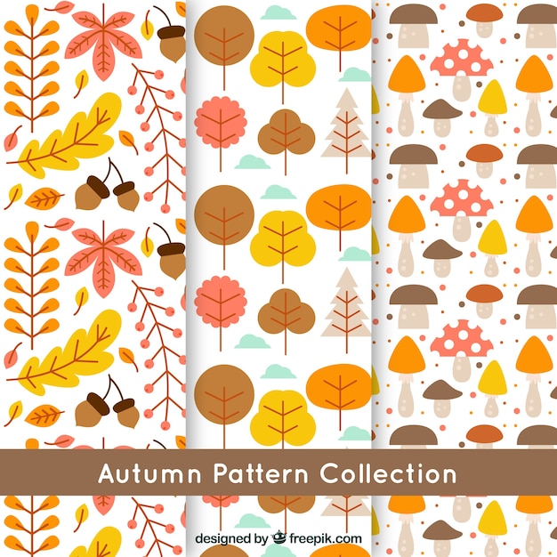 Vector gratuito patrones de otoño, hojas y setas