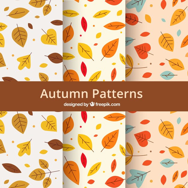 Patrones de otoño