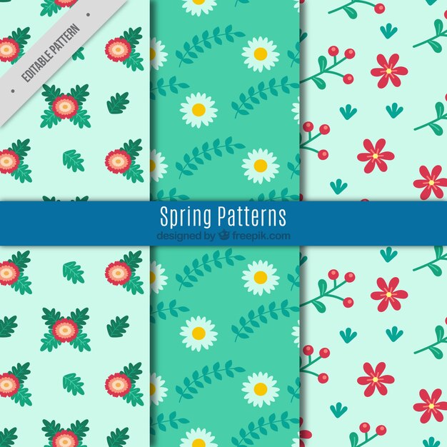 Patrones de primavera decorativos con flores bonitas