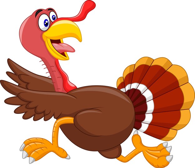 Pavo | Fotos y Vectores gratis