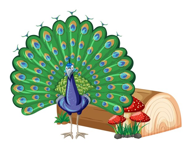 Un pavo real con elemento de la naturaleza sobre fondo blanco.