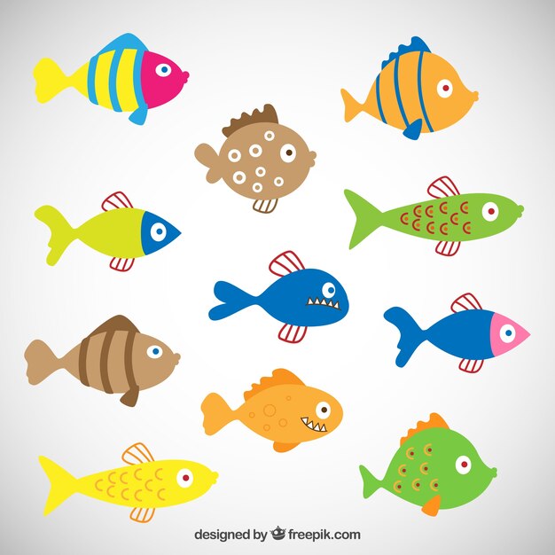 Peces de colores
