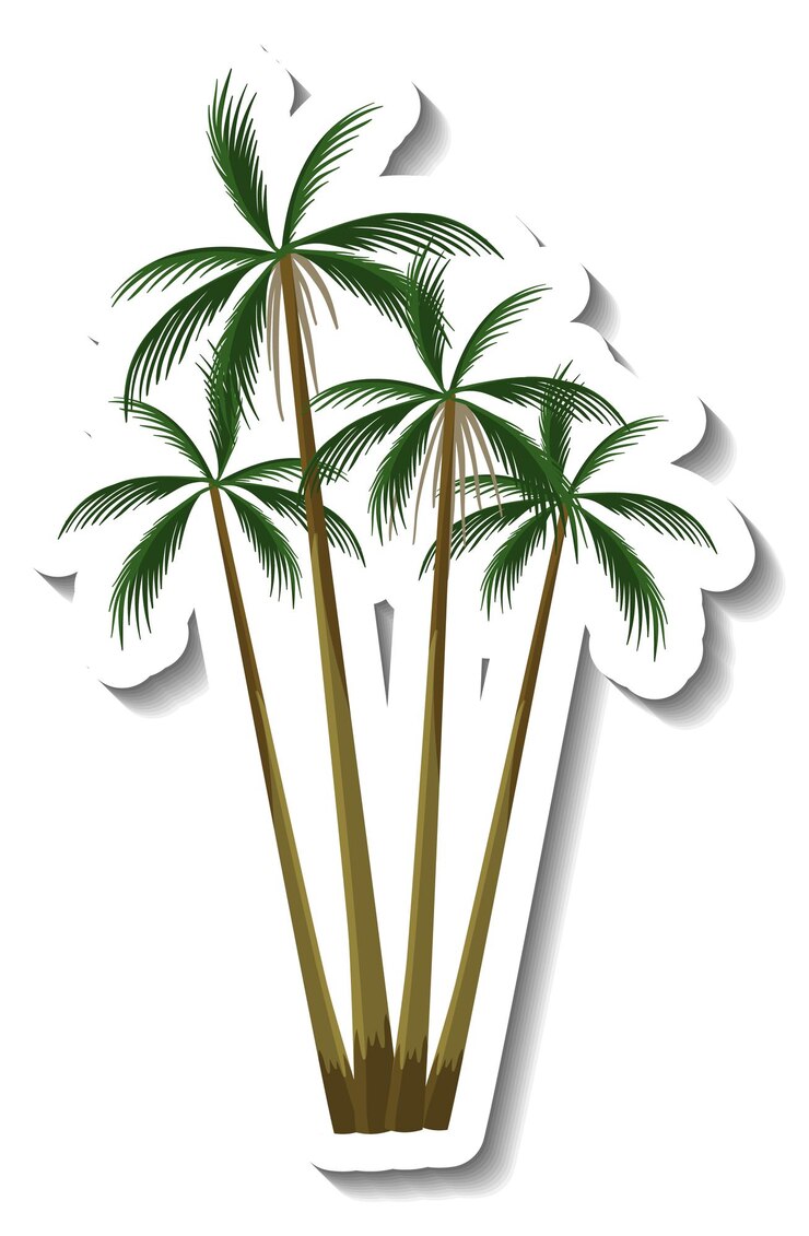 Vector gratuito pegatina árbol de coco tropical sobre fondo blanco.
