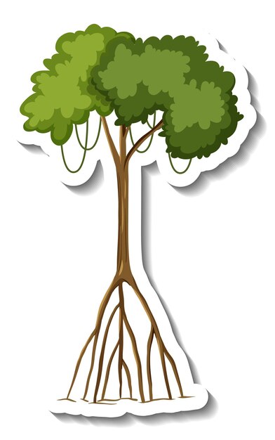 Pegatina árbol de mangle sobre fondo blanco.
