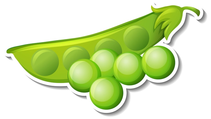 Vector gratuito pegatina de judías verdes sobre fondo blanco.