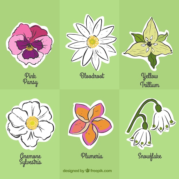 Vector gratuito pegatinas de flores dibujadas a mano