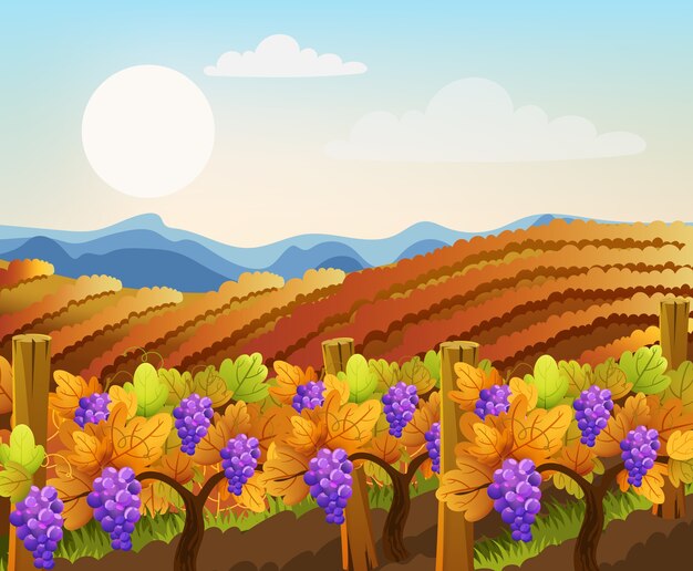 Peisage de campos vacíos y llenos de uvas