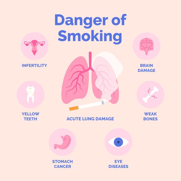 Peligro de fumar infografía con órganos.