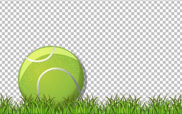 Vector gratuito pelota de tenis y pasto sobre fondo transparente