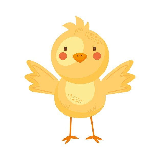 pequeño animal de granja pollito