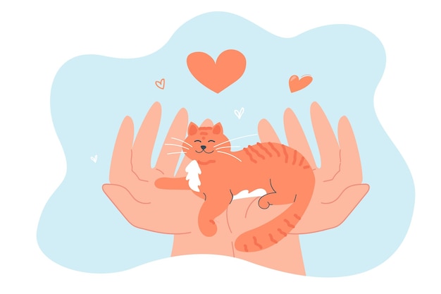 Vector gratuito pequeño gato en manos humanas ilustración vectorial plana. gatito feliz acostado y descansando. propietario cuidando de una mascota encantadora. amistad, amor, felicidad, concepto de unidad