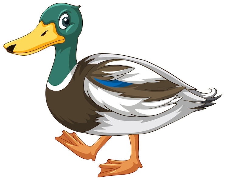 Vector gratuito pequeño pato en el suelo blanco